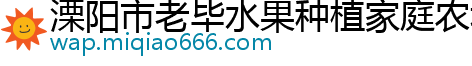 溧阳市老毕水果种植家庭农场